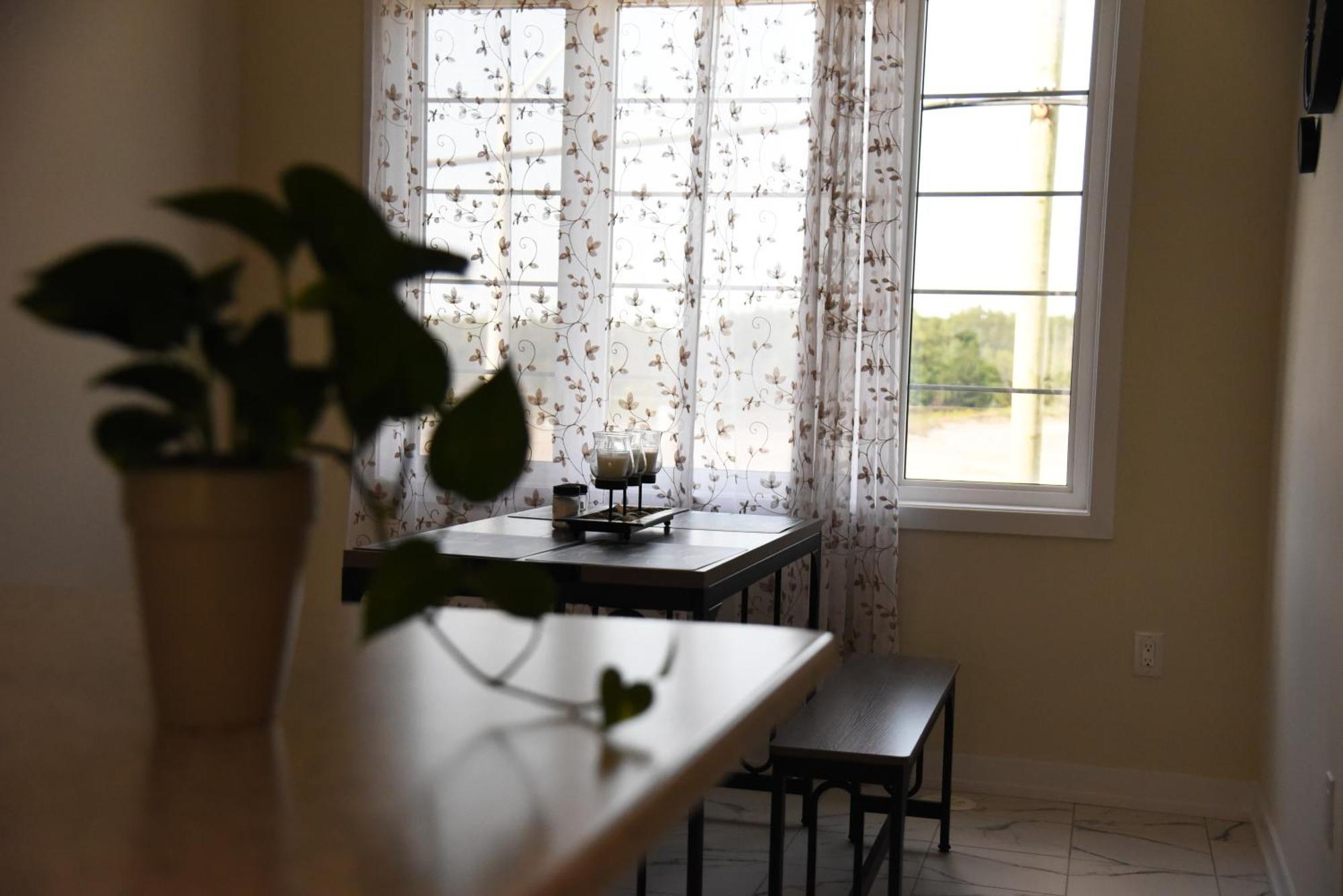 Have Whole House To Yourself Thorold Экстерьер фото